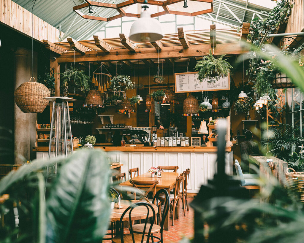 A cosy café interior filled with lush green plants, natural light streaming through the windows to create a calm and welcoming atmosphere.