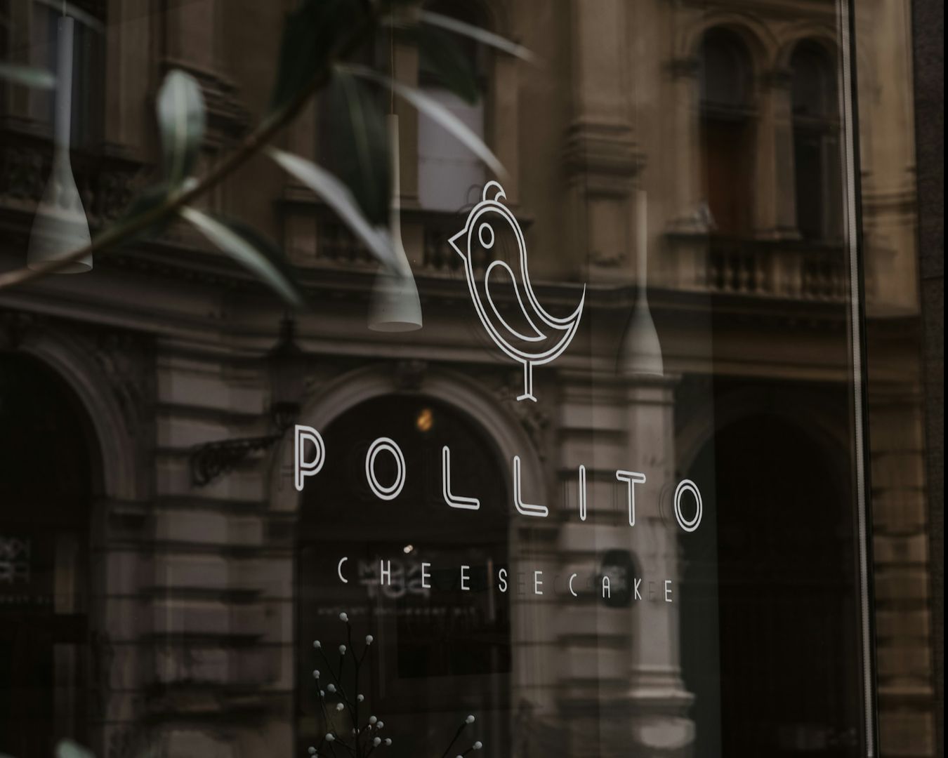 Glass storefront with a minimalist bird logo and the words "Pollito Cheesecake" visible, reflecting the facade of a historic building in the background.