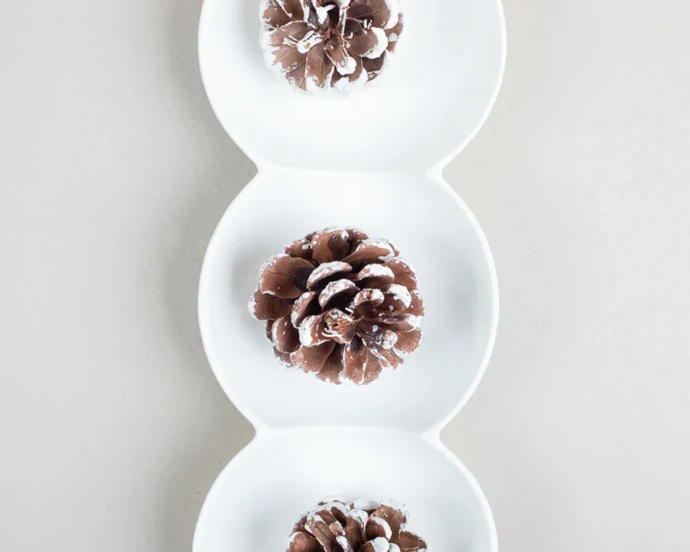 Fine dining dessert with chocolate pastry and powdered sugar for seasonal menu presentation